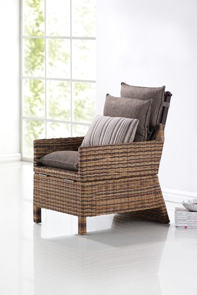 Picture of Sillon Chaise Longue Franklinia (4 posiciones)